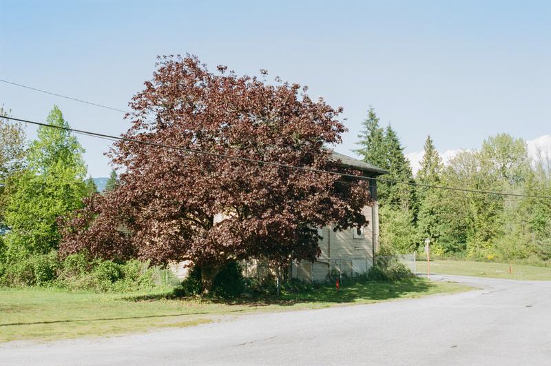 Illustration for article titled First roll of Portra 400